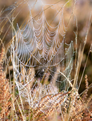 Samenwerking